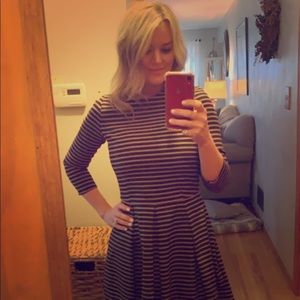 Beautiful Gap above the knee dress